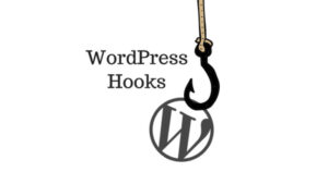 wp_head Hook